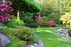 Longmont Property Managers