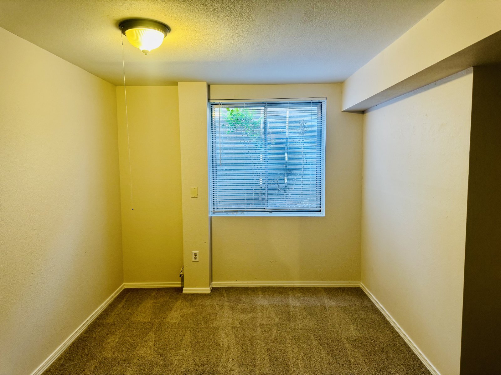 3 Bedroom 2 Bath With Finished Basement in Denver ~ Move-In Ready! property image