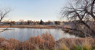 Broomfield thumbnail