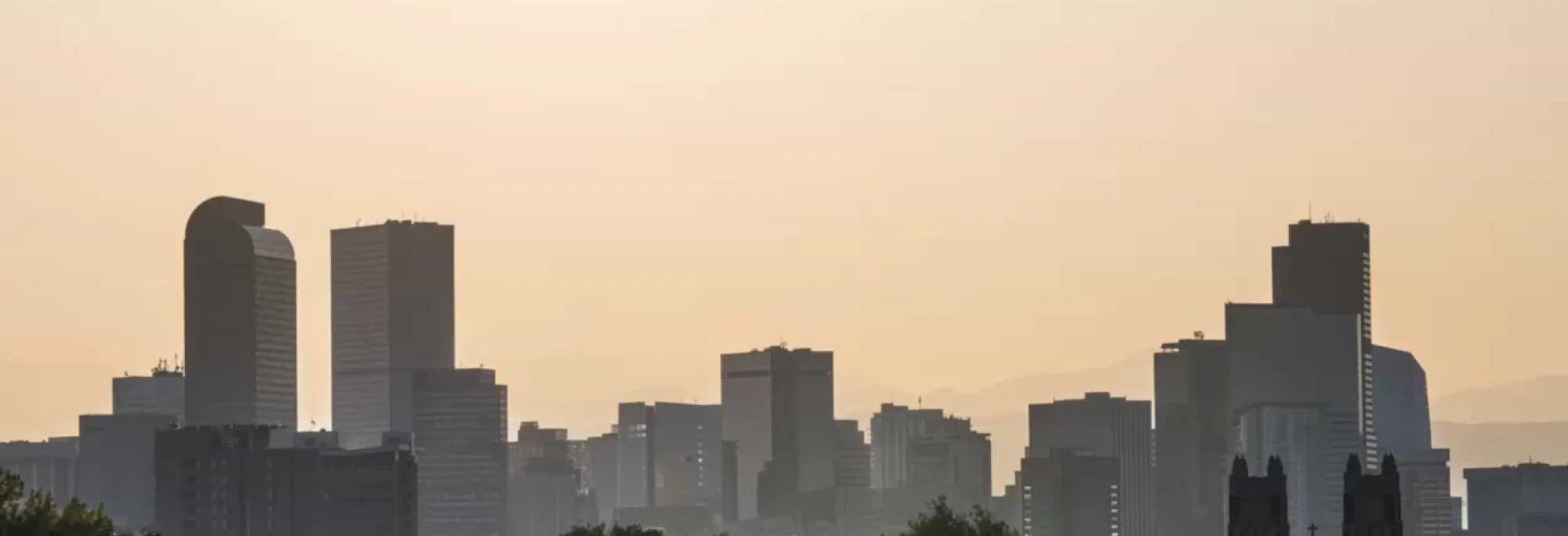 Sub Banner Image 1